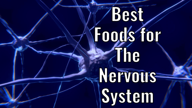 Best Foods for The Nervous System