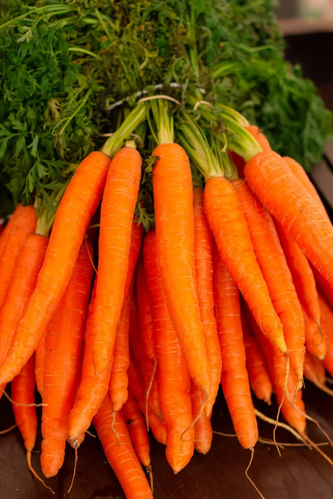 Fresh carrots